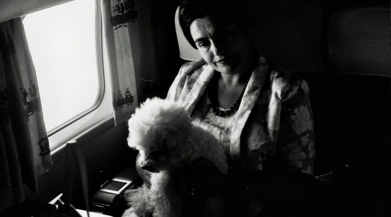 Јованка с псом за време лета авионом